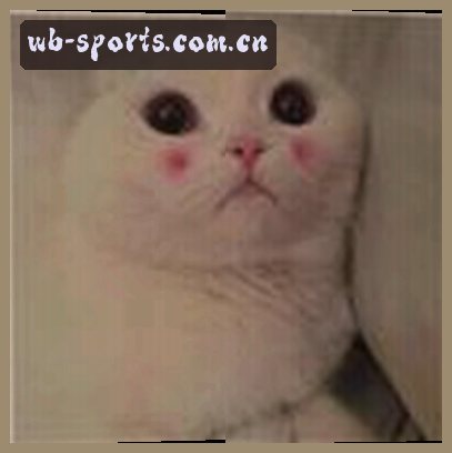 王磊